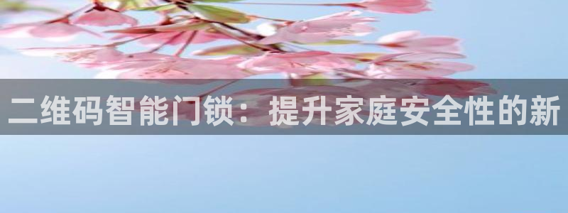 开丰娱乐左：二维码智能门锁：提升家庭安全性的新