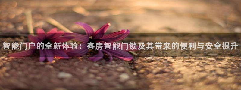 开丰娱乐主管家去判官333OO：智能门户的全新体验：客房智能