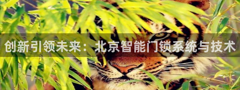 开丰娱乐姜333OO：创新引领未来：北京智能门锁系统与技术