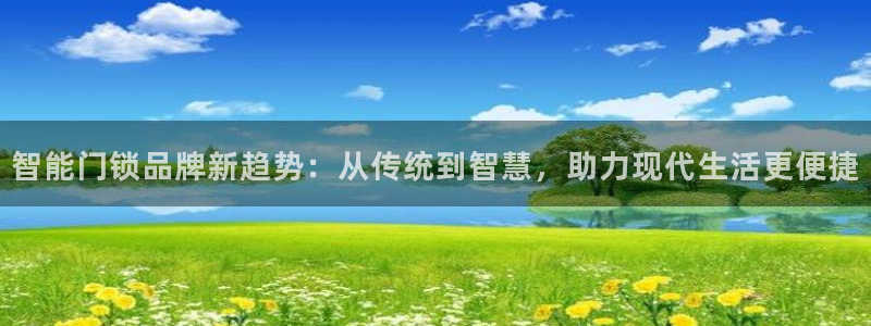 圩丰刚开的娱乐场所：智能门锁品牌新趋势：从传统到智慧，助力现