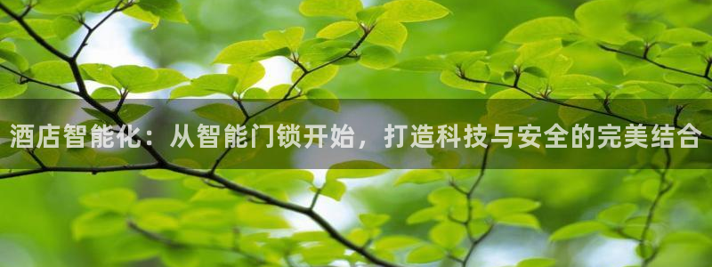 开丰娱乐注册电7O777：酒店智能化：从智能门锁开始，打造科
