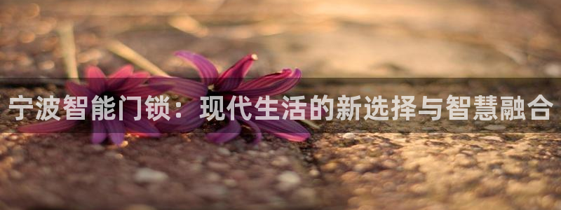 开丰娱乐官方app：宁波智能门锁：现代生活的新选择与智慧融合