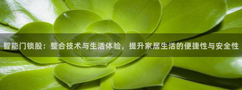 开丰娱乐日7O667：智能门锁股：整合技术与生活体验，提升家