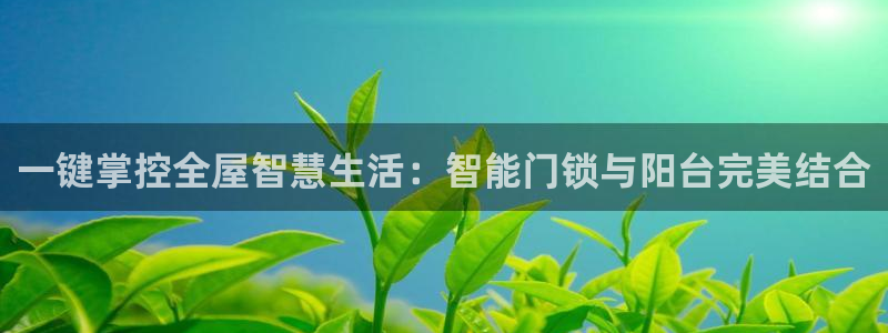 开丰娱乐会员中心：一键掌控全屋智慧生活：智能门锁与阳台完美结