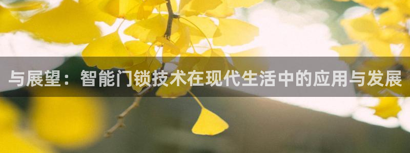 开丰娱乐官网：与展望：智能门锁技术在现代生活中的应用与发展