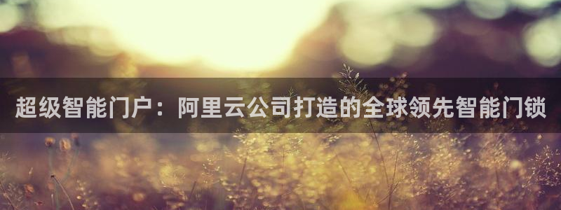 开丰娱乐网站官网：超级智能门户：阿里云公司打造的全球领先智能
