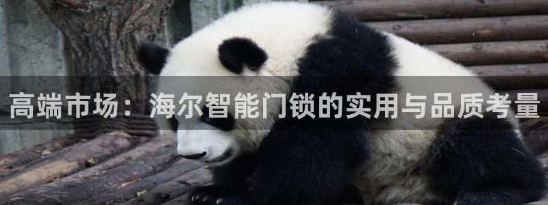 开丰娱乐67 5138：高端市场：海尔智能门锁的实用与品质考