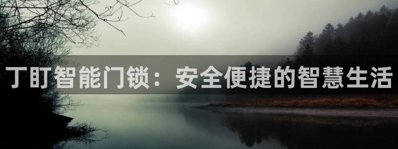 开丰娱乐登陆地址：丁盯智能门锁：安全便捷的智慧生活