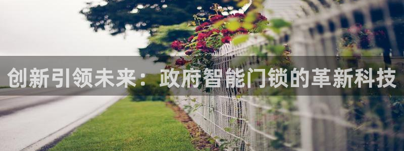 开丰娱乐日：创新引领未来：政府智能门锁的革新科技