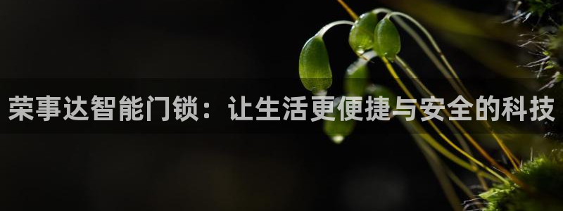 开丰娱乐日7O667：荣事达智能门锁：让生活更便捷与安全的科