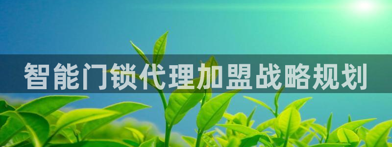 开丰娱乐官网平台：智能门锁代理加盟战略规划
