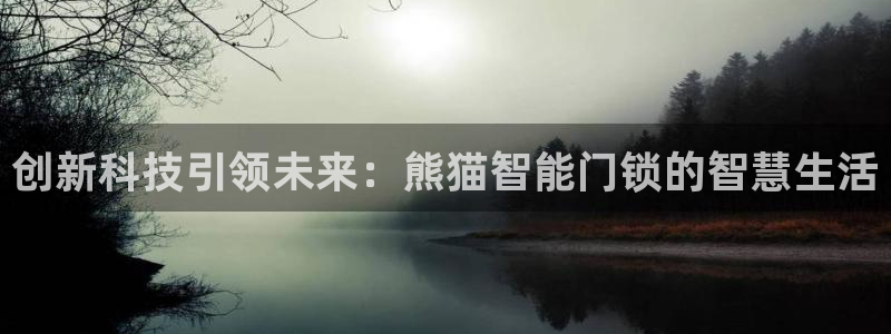 开丰娱乐予 7O935：创新科技引领未来：熊猫智能门锁的智慧