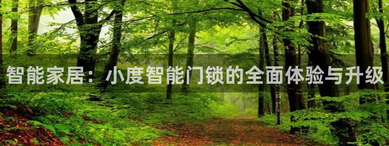 开丰娱乐新登录平台：智能家居：小度智能门锁的全面体验与升级