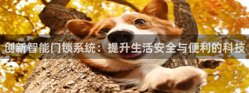 开丰娱乐测速：创新智能门锁系统：提升生活安全与便利的科技