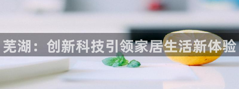 开丰娱乐网站：芜湖：创新科技引领家居生活新体验