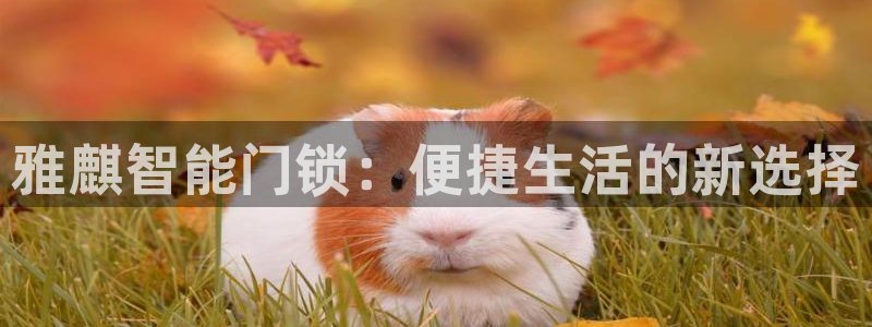 开丰娱乐登入地址在哪查：雅麒智能门锁：便捷生活的新选择