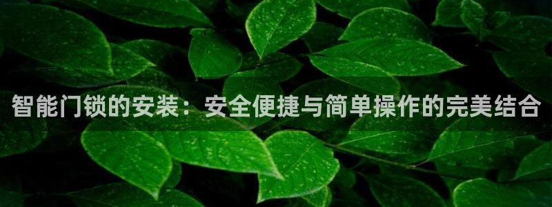 开丰娱乐注册电7O777：智能门锁的安装：安全便捷与简单操作