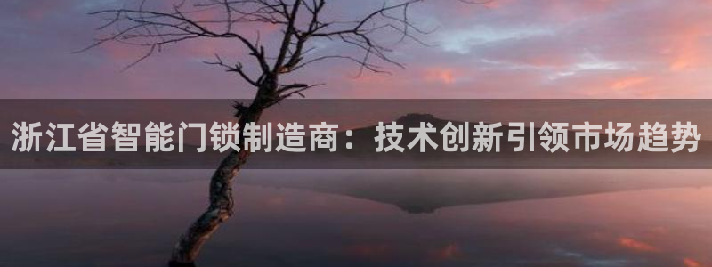 开丰娱乐平台地址在哪里：浙江省智能门锁制造商：技术创新引领市