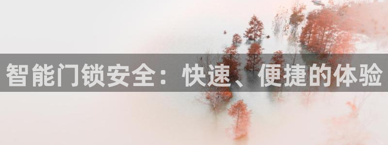 开丰娱乐姜333OO：智能门锁安全：快速、便捷的体验