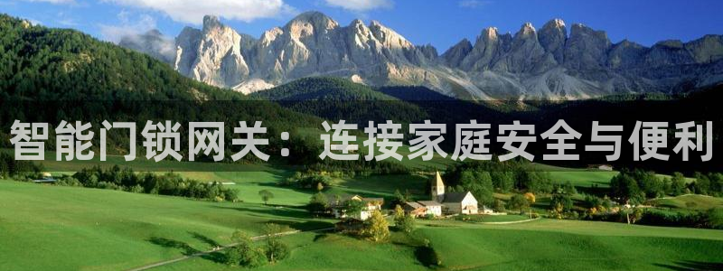 开丰娱乐天7O667：智能门锁网关：连接家庭安全与便利