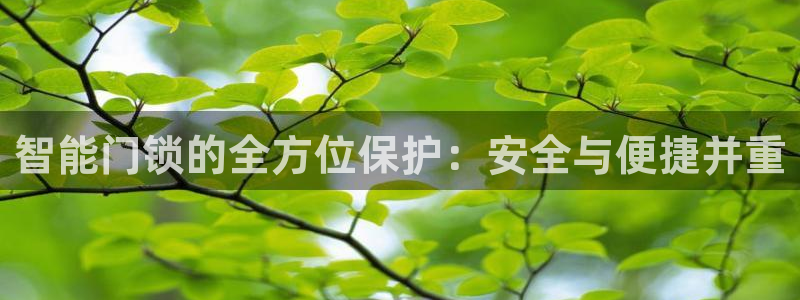 开丰娱乐左7O667：智能门锁的全方位保护：安全与便捷并重